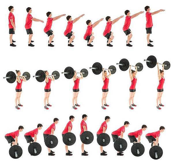 IMG_1206.JPG IMG_1206.JPG