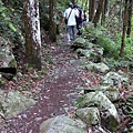 LINE_ALBUM_1120521戶外課程-八仙山_230612_6.jpg