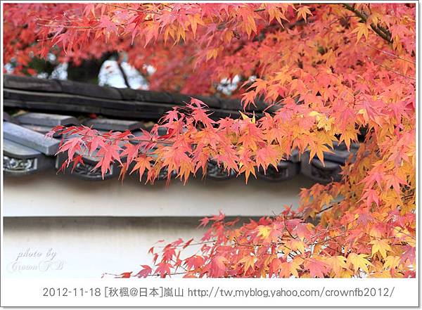 _MG_1774 2012-11-18嵐山.JPG