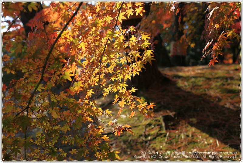 IMG_5533a 2014-11-20岡山後樂園.JPG