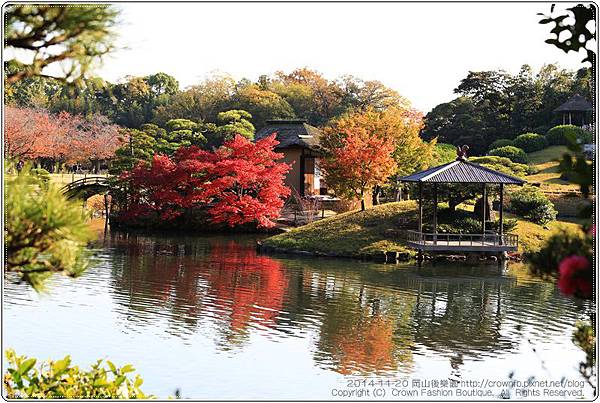 IMG_5549a 2014-11-20岡山後樂園.JPG