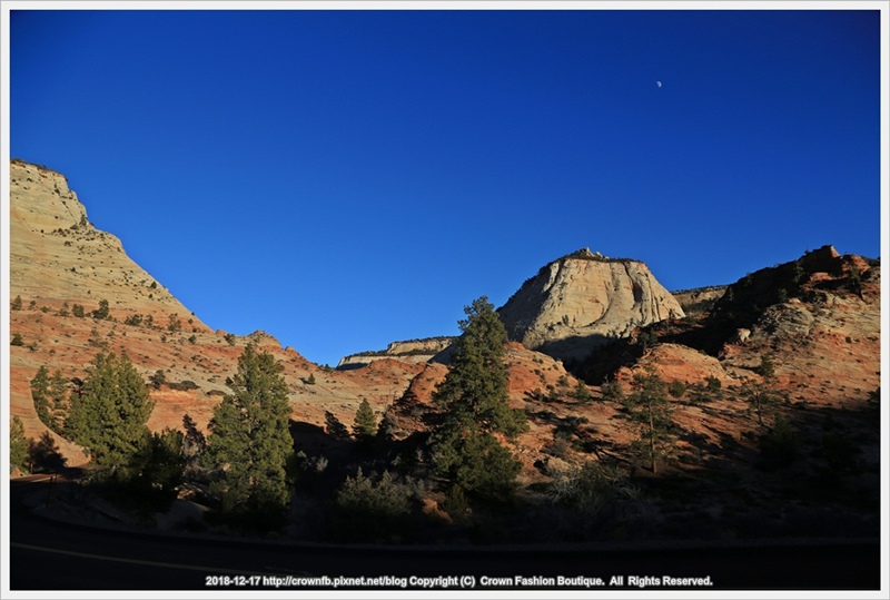 IMG_7047 12-17 Zion National ParkZionPark.JPG