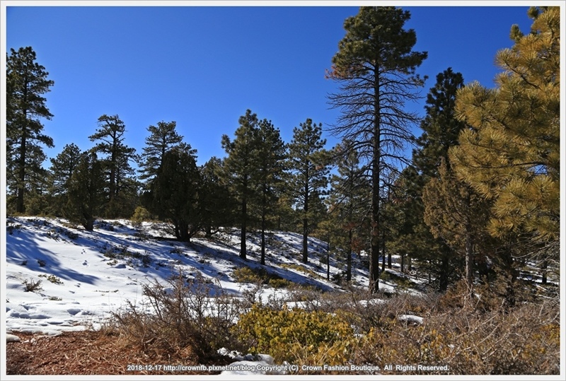 IMG_6936 12-37Bryce Canyon.JPG