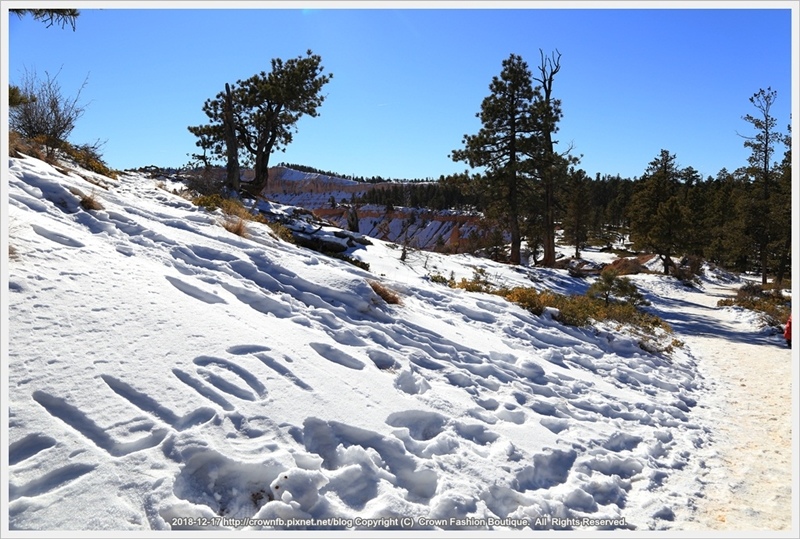 IMG_6960a 12-28 Bryce Canyon.JPG