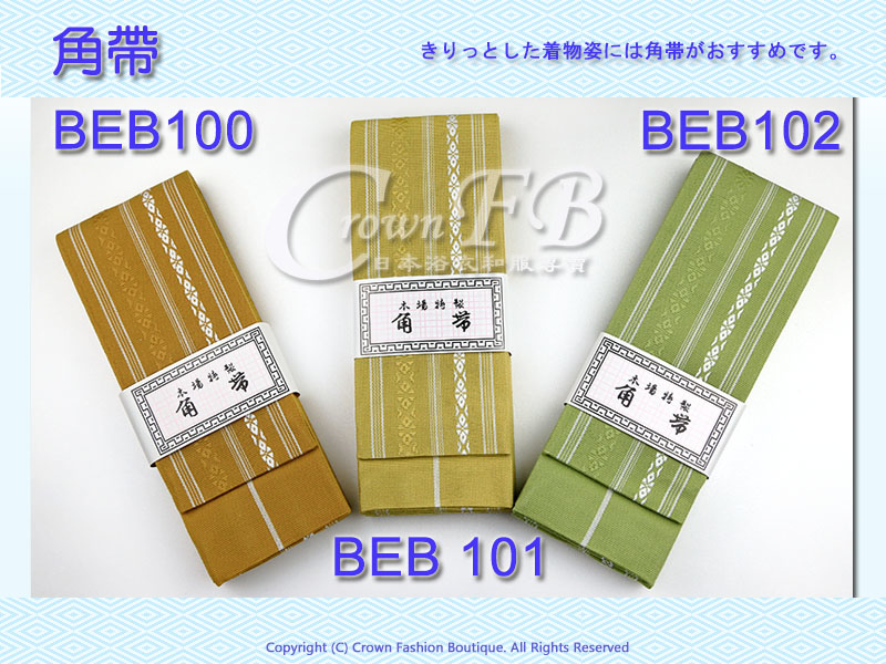 BEB100 101 102 800 600.jpg