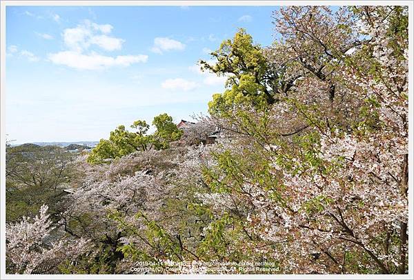 IMG_0334 2019-4-11紀三井寺.JPG