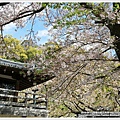 IMG_0349a 2019-4-11紀三井寺.JPG