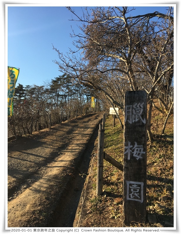 2020-1-1 東京跨年之旅 24-2.JPG