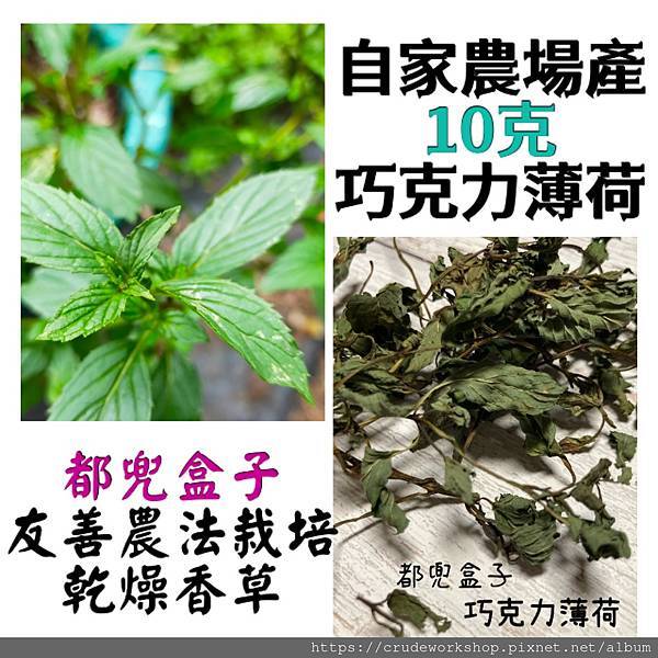 【無農藥乾燥花草】巧克力薄荷介紹(2024/2/13更新)🌿