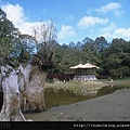 阿里山旅遊,阿里山旅遊規劃,阿里山旅遊行程,阿里山旅遊地圖,阿里山旅遊景點,阿里山旅遊住宿,阿里山旅遊資訊