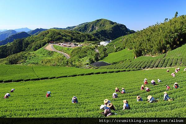 嘉義阿里山--阿里山旅遊,阿里山旅遊規劃,阿里山旅遊行程,阿里山旅遊地圖,阿里山旅遊景點,阿里山旅遊住宿,阿里山旅遊資訊