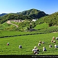 嘉義阿里山--阿里山旅遊,阿里山旅遊規劃,阿里山旅遊行程,阿里山旅遊地圖,阿里山旅遊景點,阿里山旅遊住宿,阿里山旅遊資訊