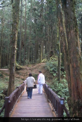 阿里山國家風景區.jpg