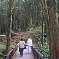 阿里山國家風景區.jpg