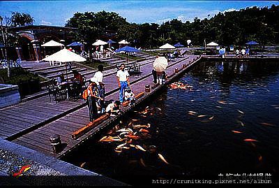 宜蘭羅東運動公園1.jpg