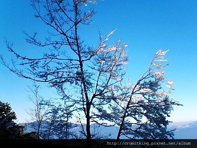 太平山旅遊,太平山翠峰湖接駁,太平山一日遊