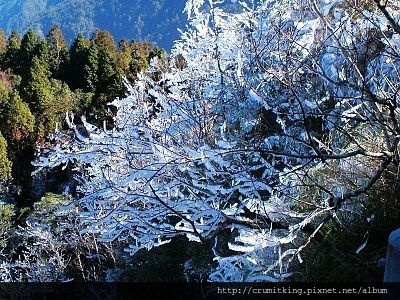 太平山旅遊,太平山翠峰湖接駁,太平山一日遊