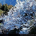 太平山旅遊,太平山翠峰湖接駁,太平山一日遊