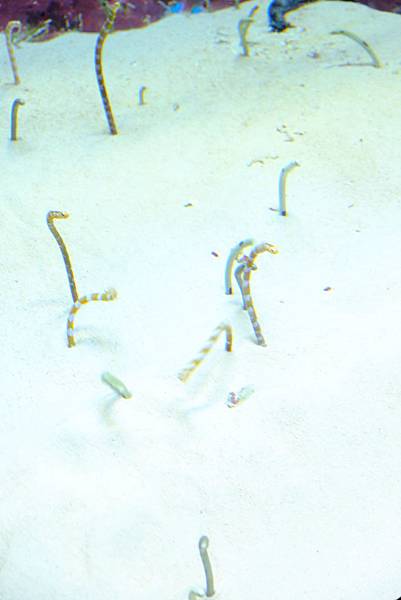 2014_0728_12413500.jpg 2014_0728_12413500.jpg