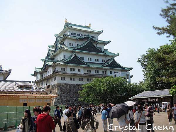 IMG_7676 IMG_7676