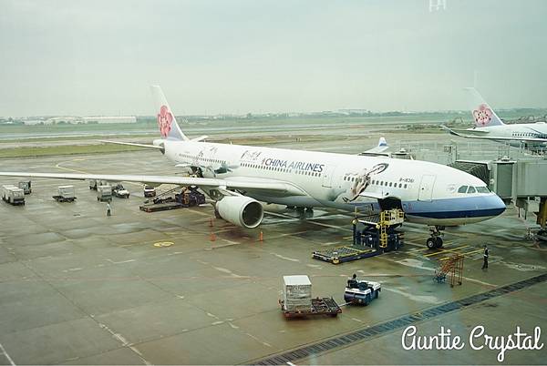 IMG_2542 IMG_2542