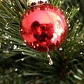 christmas tree 007.jpg