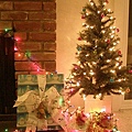 christmas tree 011.jpg