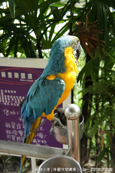 20110709-DSC06246淨園.JPG