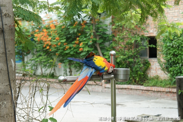 20110709-DSC06253淨園.JPG