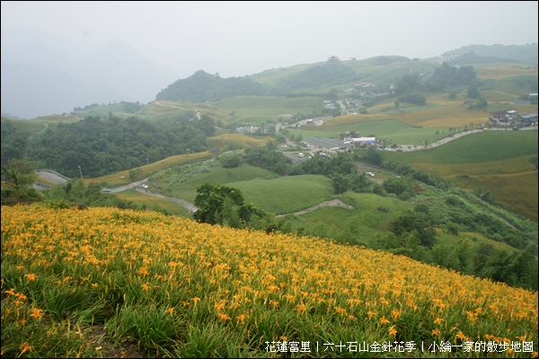 20110903-DSC08023金針花.JPG