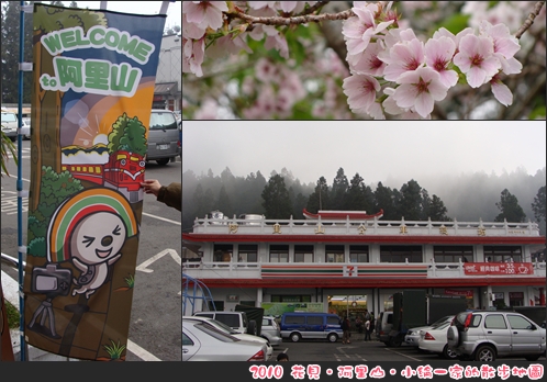 20100320-0365阿里山賞櫻.JPG