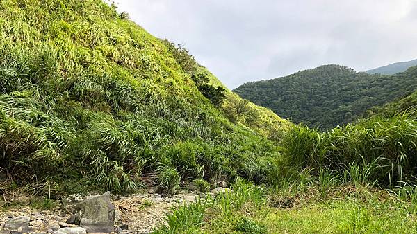 桶後越嶺_桶後林道 (04).JPG