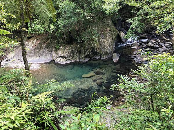 桶後越嶺_桶後林道 (10).JPG