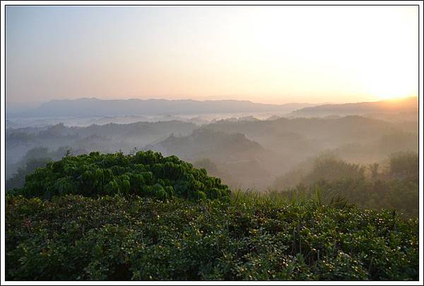 DSC_0050.JPG DSC_0050.JPG