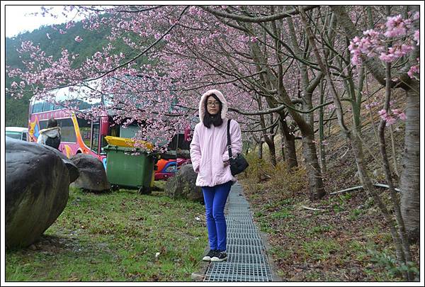 DSC_0031.JPG DSC_0031.JPG