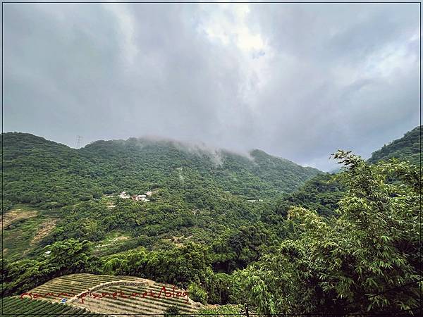 〖貓空。茶香環狀步道〗健康步道/壼穴吊橋輕鬆走