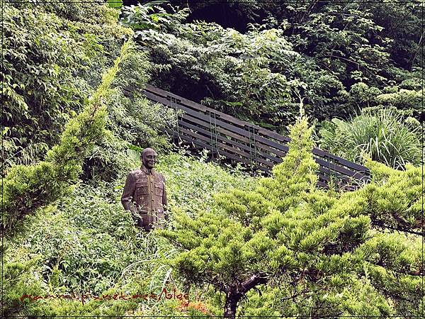 〖貓空。茶香環狀步道〗健康步道/壼穴吊橋輕鬆走 〖貓空。茶香環狀步道〗健康步道/壼穴吊橋輕鬆走