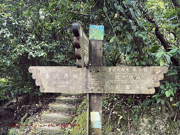 〖貓空。茶香環狀步道〗健康步道/壼穴吊橋輕鬆走