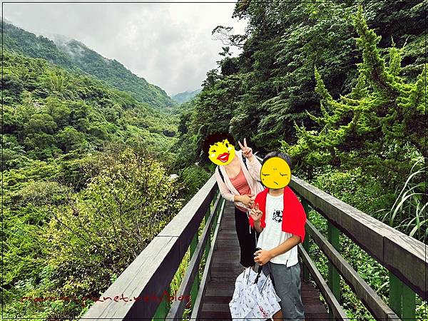 〖貓空。茶香環狀步道〗健康步道/壼穴吊橋輕鬆走