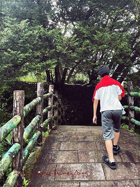 〖貓空。茶香環狀步道〗健康步道/壼穴吊橋輕鬆走 〖貓空。茶香環狀步道〗健康步道/壼穴吊橋輕鬆走