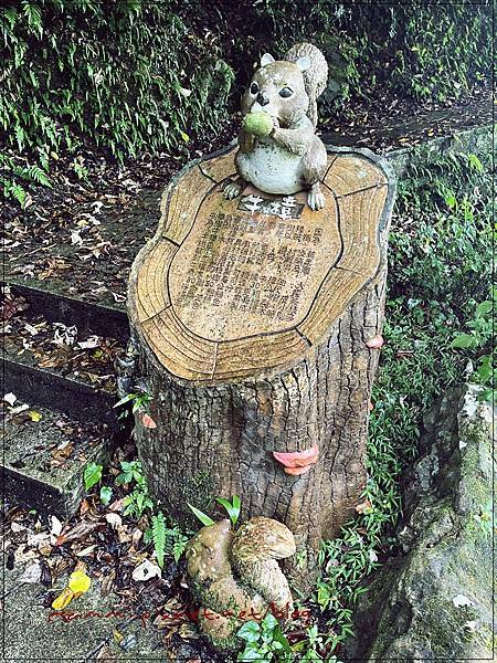 〖貓空。茶香環狀步道〗健康步道/壼穴吊橋輕鬆走 〖貓空。茶香環狀步道〗健康步道/壼穴吊橋輕鬆走