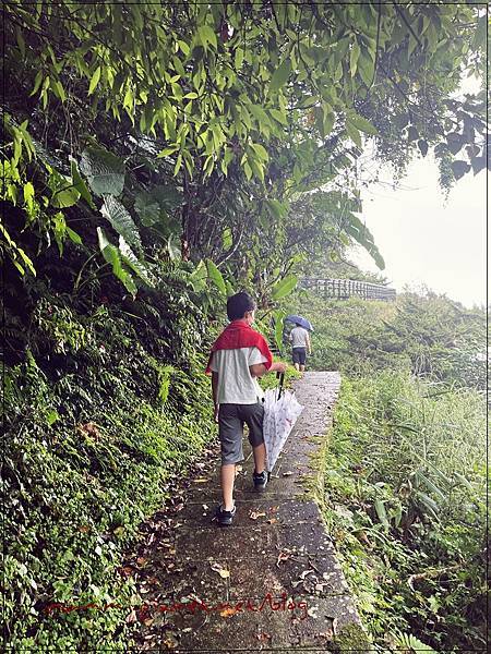 〖貓空。茶香環狀步道〗健康步道/壼穴吊橋輕鬆走 〖貓空。茶香環狀步道〗健康步道/壼穴吊橋輕鬆走