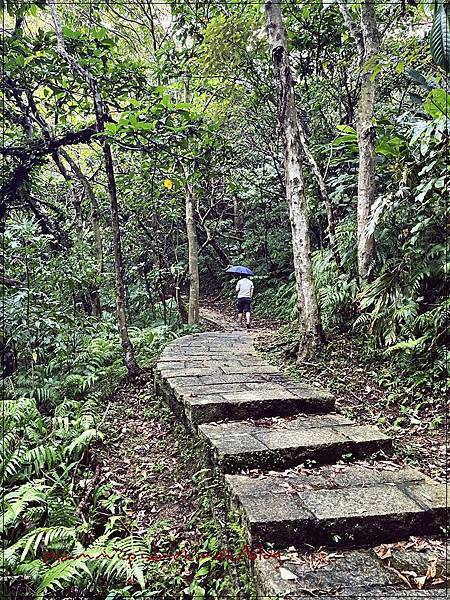 〖貓空。茶香環狀步道〗健康步道/壼穴吊橋輕鬆走 〖貓空。茶香環狀步道〗健康步道/壼穴吊橋輕鬆走