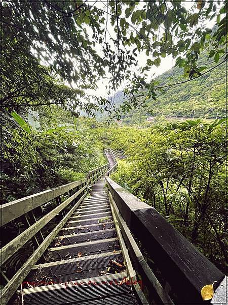 〖貓空。茶香環狀步道〗健康步道/壼穴吊橋輕鬆走