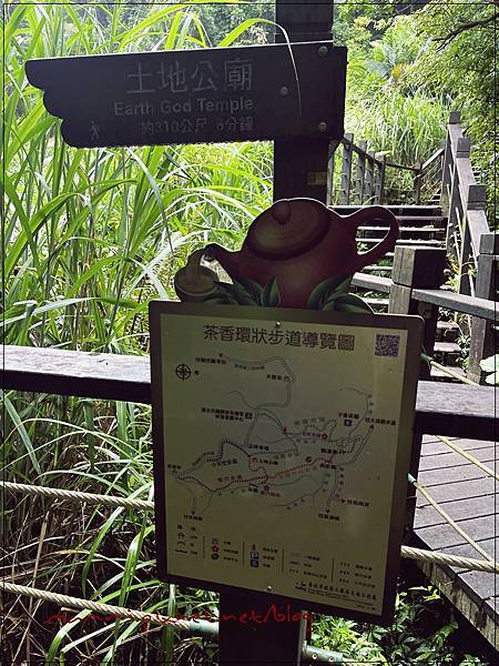 〖貓空。茶香環狀步道〗健康步道/壼穴吊橋輕鬆走