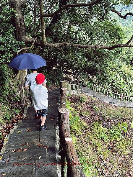 〖貓空。茶香環狀步道〗健康步道/壼穴吊橋輕鬆走
