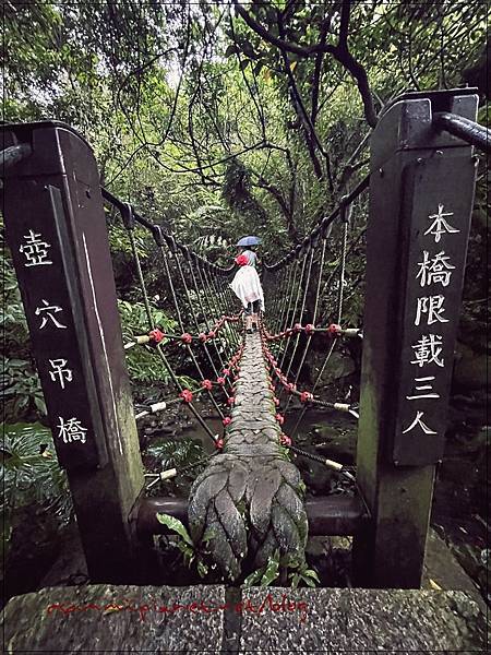 〖貓空。茶香環狀步道〗健康步道/壼穴吊橋輕鬆走