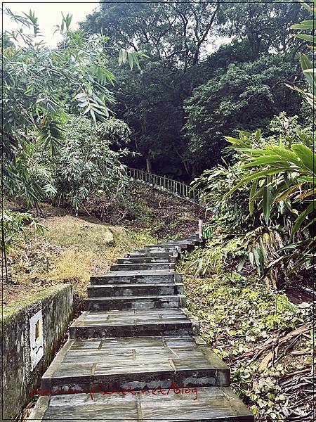 〖貓空。茶香環狀步道〗健康步道/壼穴吊橋輕鬆走 〖貓空。茶香環狀步道〗健康步道/壼穴吊橋輕鬆走