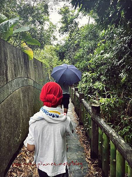 〖貓空。茶香環狀步道〗健康步道/壼穴吊橋輕鬆走