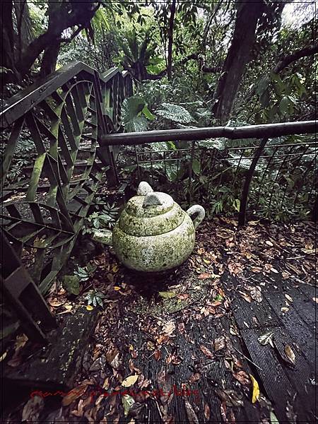 〖貓空。茶香環狀步道〗健康步道/壼穴吊橋輕鬆走